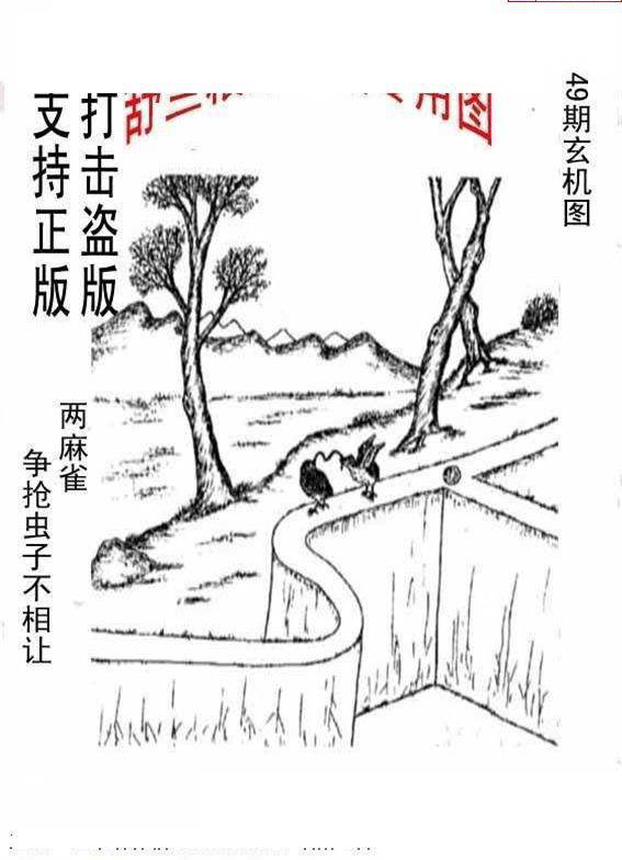 23249期: 老村长福彩3D天天图谜