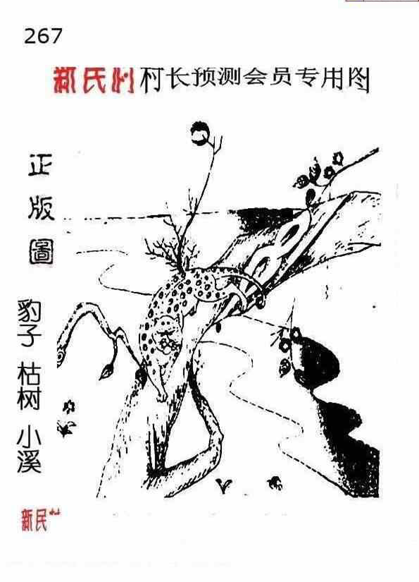 23267期: 老村长福彩3D天天图谜