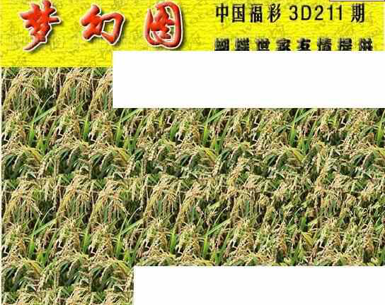 23211期: 3D蝴蝶世家蝴蝶彩图