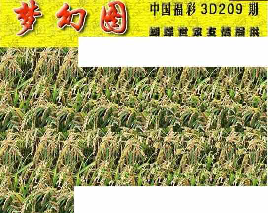 23209期: 3D蝴蝶世家蝴蝶彩图