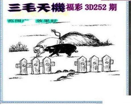 23252期: 三毛3D精品图谜