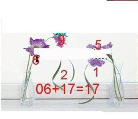 23259期: 三毛3D精品图谜