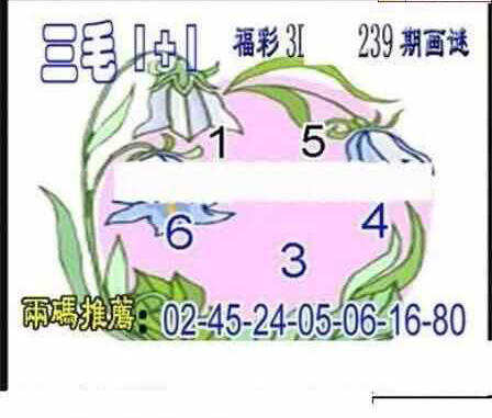 23239期: 三毛3D精品图谜