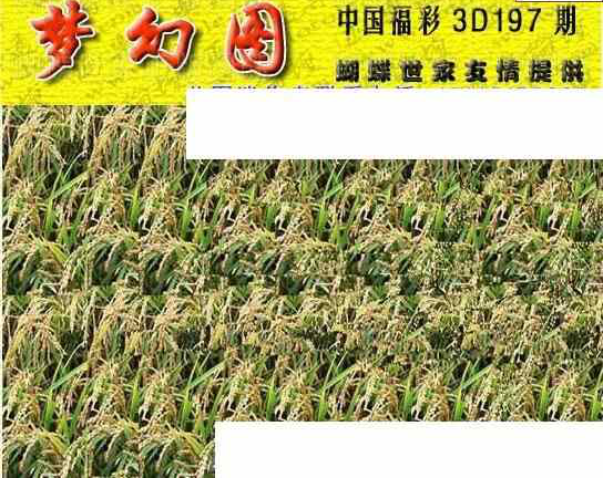 23197期: 3D蝴蝶世家蝴蝶彩图