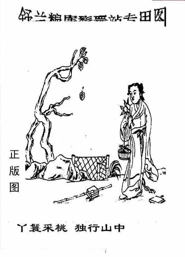 23219期: 老村长福彩3D天天图谜