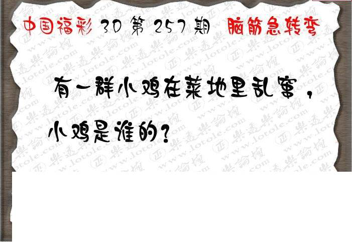 23257期: 3D蝴蝶世家蝴蝶彩图