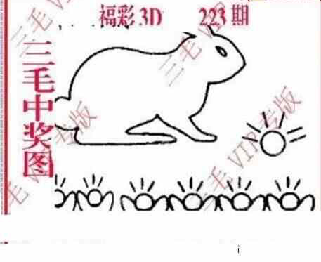 23223期: 三毛3D精品图谜