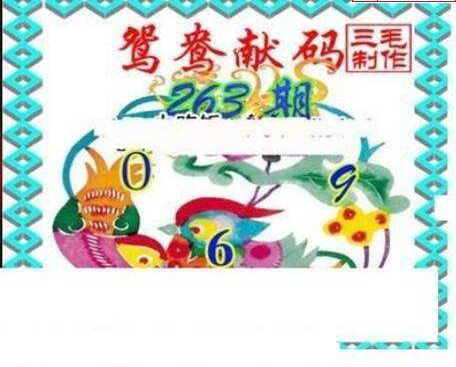 23263期: 三毛3D精品图谜