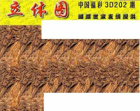 23202期: 3D蝴蝶世家蝴蝶彩图