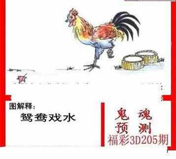 23205期: 白老3D杀码图版