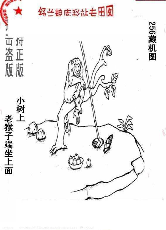 23256期: 老村长福彩3D天天图谜