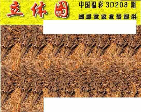 23208期: 3D蝴蝶世家蝴蝶彩图