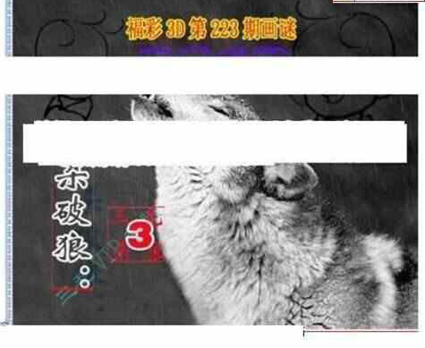 23223期: 三毛3D精品图谜