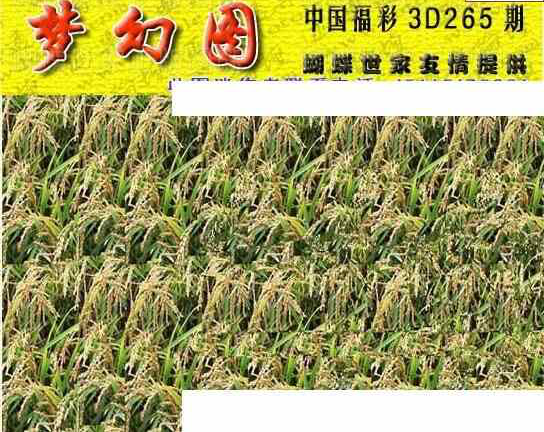 23265期: 3D蝴蝶世家蝴蝶彩图