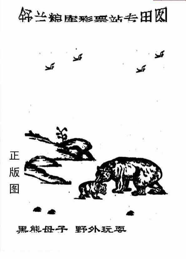 23239期: 老村长福彩3D天天图谜