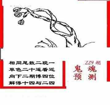 23229期: 三毛3D精品图谜