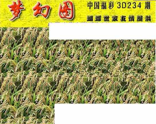 23234期: 3D蝴蝶世家蝴蝶彩图