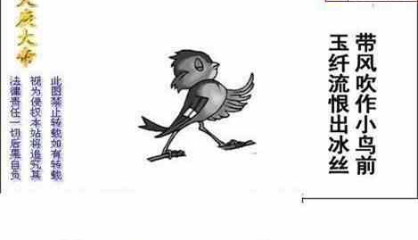 23211期: 白老3D杀码图版