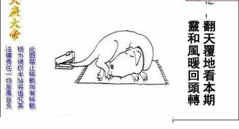 23217期: 白老3D杀码图版