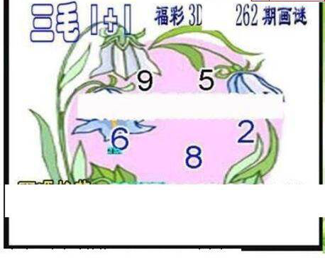 23262期: 三毛3D精品图谜