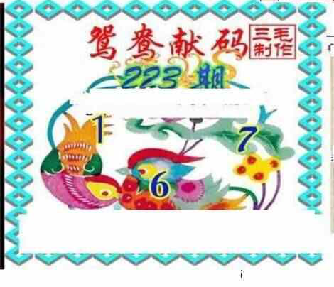 23223期: 三毛3D精品图谜