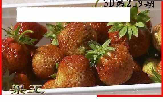 23219期: 白老3D杀码图版