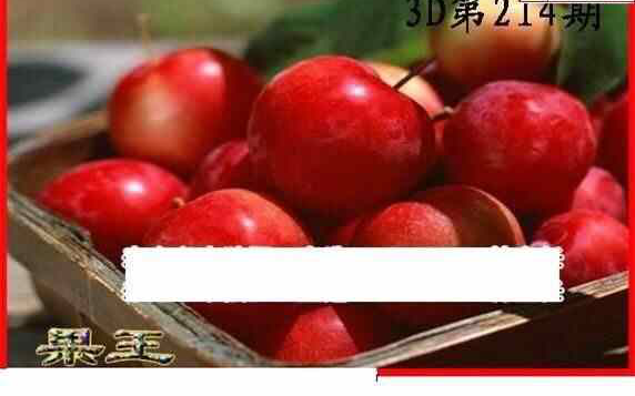 23214期: 白老3D杀码图版