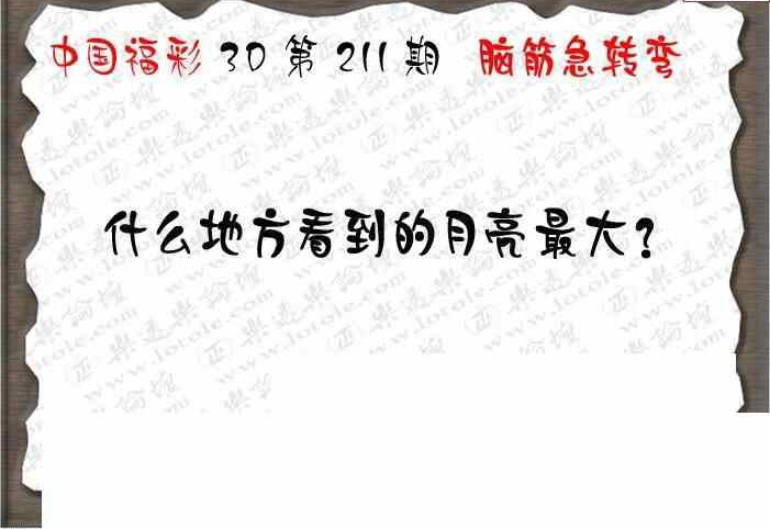 23211期: 3D蝴蝶世家蝴蝶彩图