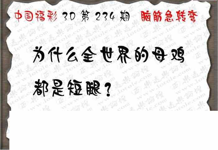 23234期: 3D蝴蝶世家蝴蝶彩图