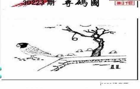 23223期: 三毛3D精品图谜