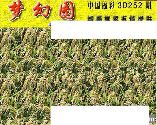 23252期: 3D蝴蝶世家蝴蝶彩图