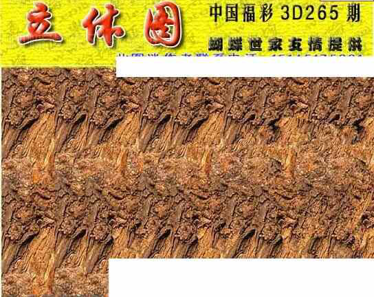 23265期: 3D蝴蝶世家蝴蝶彩图