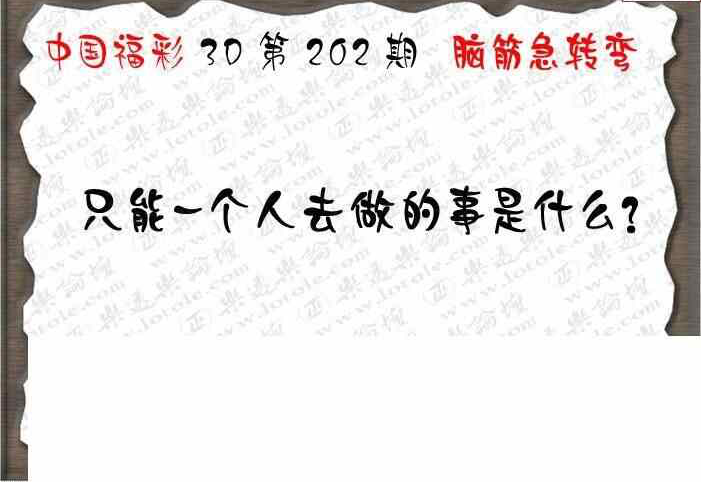 23202期: 3D蝴蝶世家蝴蝶彩图