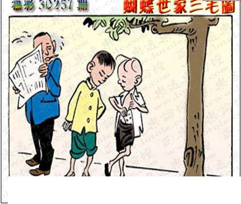 23257期: 3D蝴蝶世家蝴蝶彩图