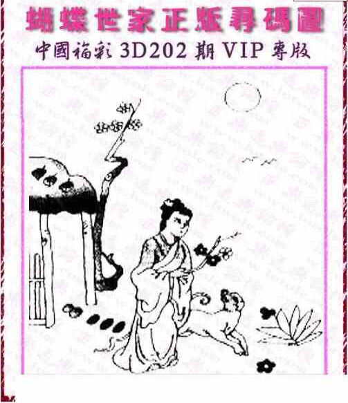 23202期: 3D蝴蝶世家蝴蝶彩图