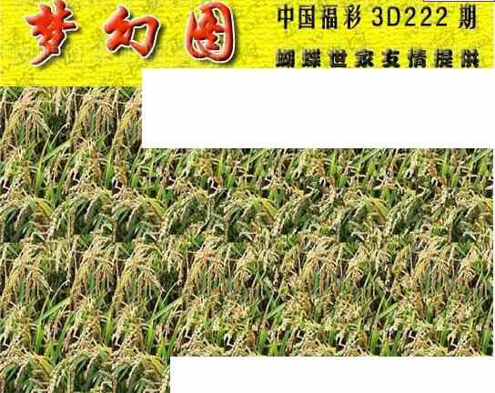 23222期: 3D蝴蝶世家蝴蝶彩图