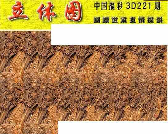 23221期: 3D蝴蝶世家蝴蝶彩图