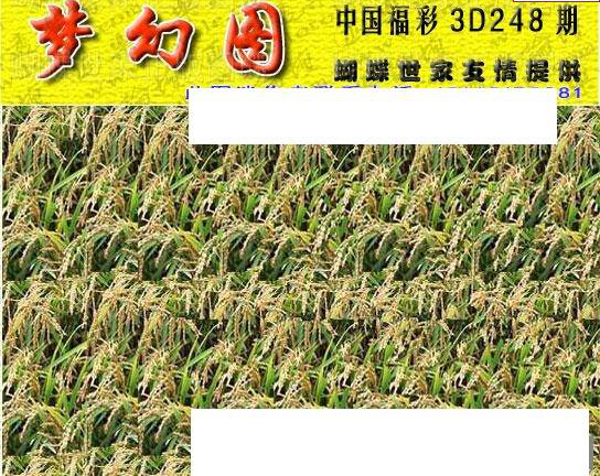 23248期: 3D蝴蝶世家蝴蝶彩图