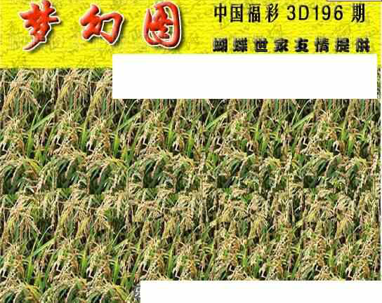 23196期: 3D蝴蝶世家蝴蝶彩图