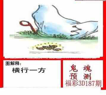 23187期: 白老3D杀码图版