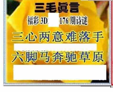 23176期: 三毛3D精品图谜