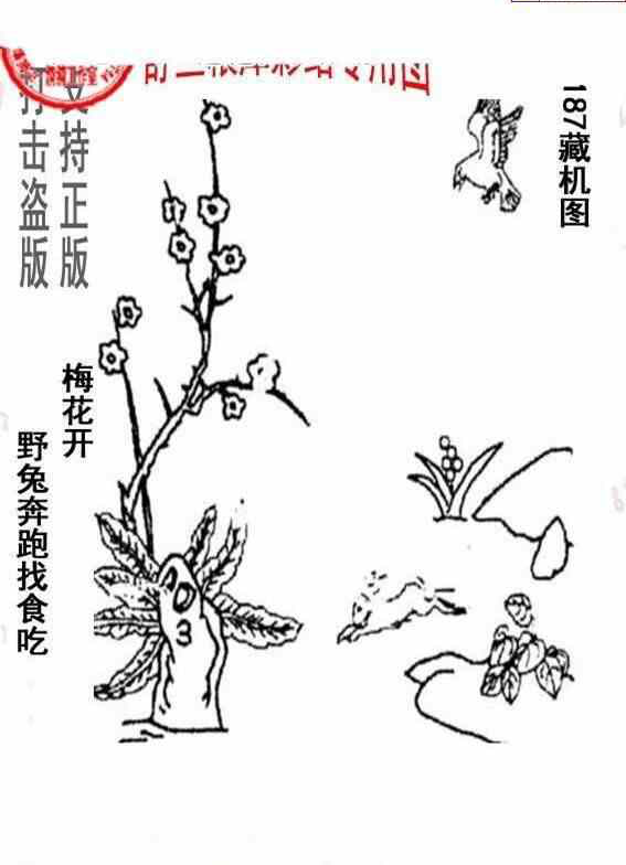 23187期: 老村长福彩3D天天图谜