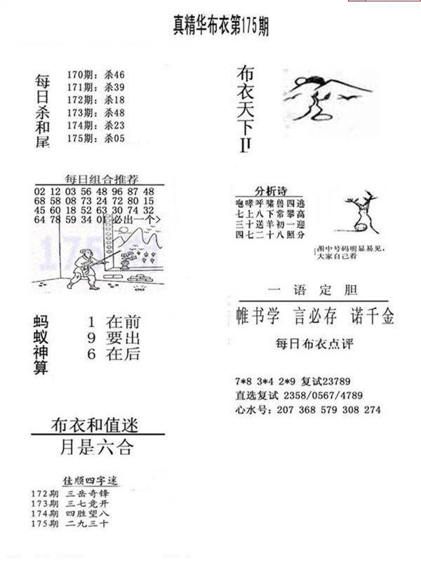 23175期: 福彩3D全套图版参考