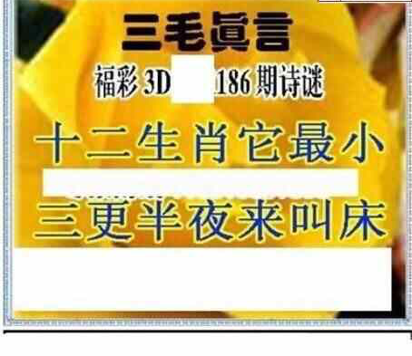23186期: 三毛3D精品图谜