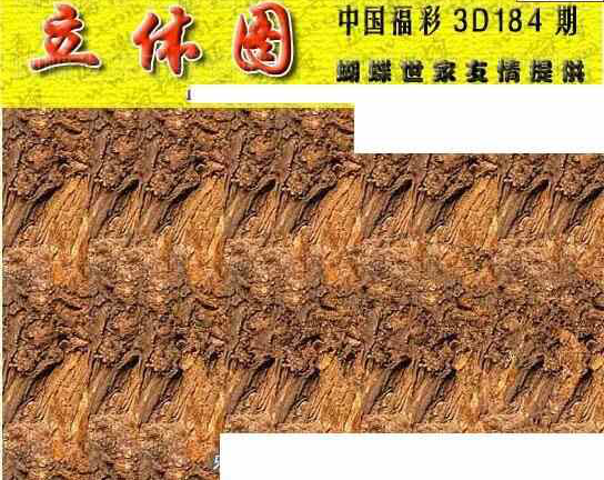 23184期: 3D蝴蝶世家蝴蝶彩图