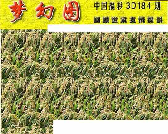 23184期: 3D蝴蝶世家蝴蝶彩图