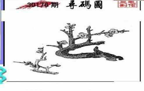 23176期: 三毛3D精品图谜