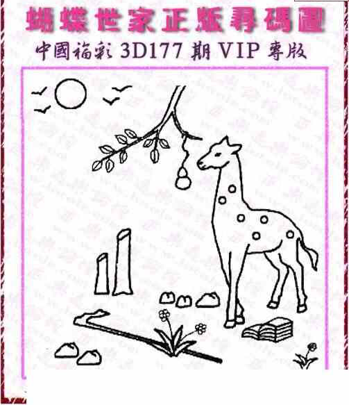 23177期: 3D蝴蝶世家蝴蝶彩图