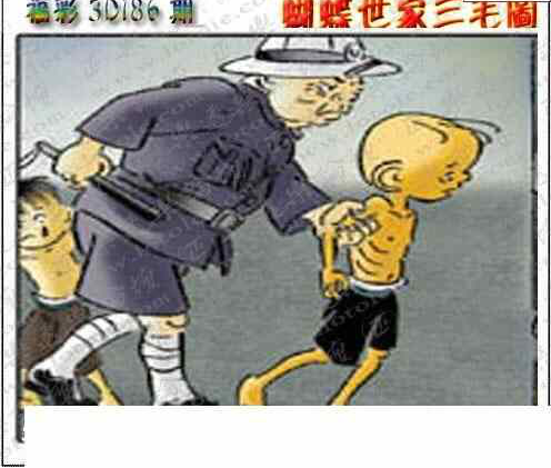 23186期: 3D蝴蝶世家蝴蝶彩图