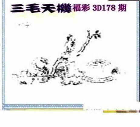 23178期: 三毛3D精品图谜